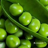 小豌豆炒虾仁