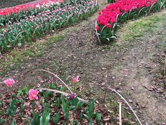 -无锡梅园公园