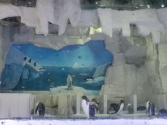 -华夏文旅海洋公园