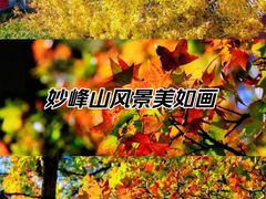 -妙峰山风景名胜区