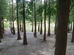 -广州市帽峰山景区
