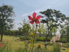 -上海长兴岛郊野公园