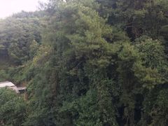 -梁野山景区
