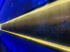 -悦融·京鲁菜·露台花园(安定门店)