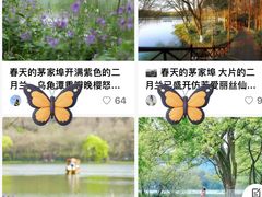 -茅家埠