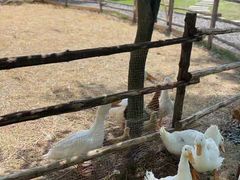 -HERRE·FARM 赫尔露营农场·团建聚会包场