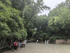 -上海方塔园
