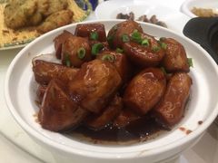 -苏启渔港(云南北路店)