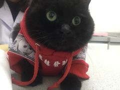 -达爱动物医院·犬猫分区·CT·复杂眼科(远洋山水分院)