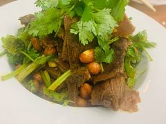 香菜拌牛肉-椒香川流不息川菜馆(二七北路店)