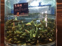 -香坝坝鲜鱼火锅(春熙路店)