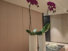 -南京金陵饭店