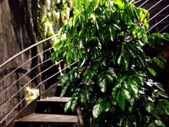 iphone_upload_pic-春天里·老街坊餐厅(港隆广场店)