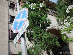 -武汉大学-樱园