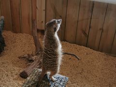 -珠海海泉湾神秘岛亲子乐园