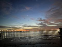 -宝安西湾红树林湿地公园