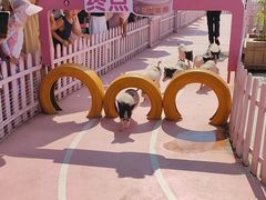 -渔岛海洋度假区