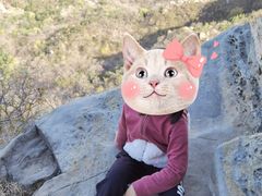 -北京鹫峰国家森林公园