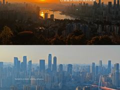 -南山植物园