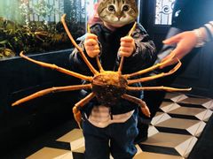 -蟹之国·精品蟹料理(极地店)