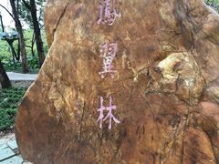 -文华公园(禅城区)