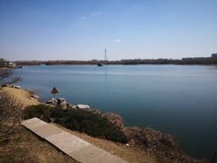 -大兴滨河森林公园