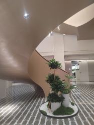 -广州美莱医疗美容医院