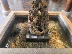 -鹭岛新泉客家菜·海鲜·融合菜(莲前店)