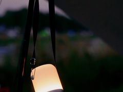 -春花秋色城市公园