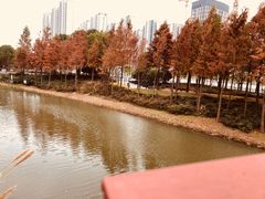-南翔镇银翔湖公园