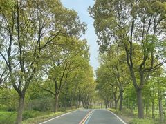 -报恩禅寺