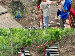 -欢乐松鼠谷