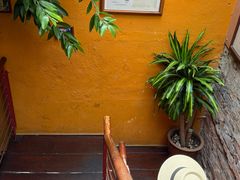 -地理学家咖啡馆