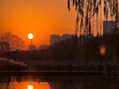 -合肥滨湖国家森林公园