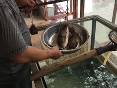 -岩泊渡桂鱼楼活鱼馆