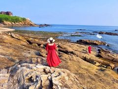 -广鹿岛