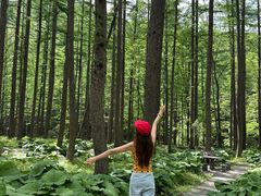 -洛阳白云山景区