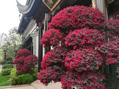 -上海皇廷花园酒店·御宴中餐厅