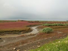-红海滩国家风景廊道