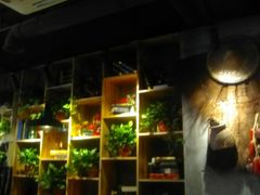 -小小河边鱼(天润城店)
