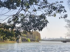 -东湖落雁景区