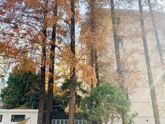 -一尺花园(安和花园店)