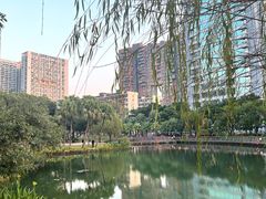 -四海公园(南山区)