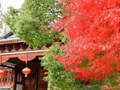 -上海海湾国家森林公园