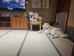 -大江户·温泉洗浴(浑南店)