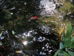 -潮隐·东园现代潮菜