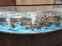 -阿庄新豫菜(航海东路店)