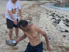 -南丫岛