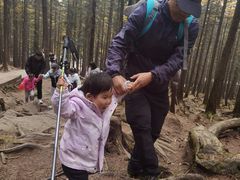 -芦芽山旅游度假区