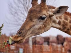 -济南野生动物世界